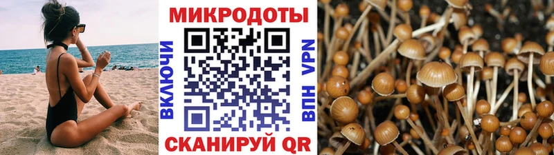 darknet телеграм  Альметьевск  Галлюциногенные грибы Psilocybe 
